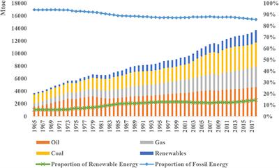 The Evolution of Energy Market and Energy Usage: An Application of the Distribution Dynamics Analysis